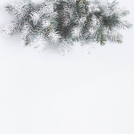 Winter composition. Border made of fir tree branches on pastel gray background. Winter, new year concept. Flat lay, top view, copy space, squareの写真素材