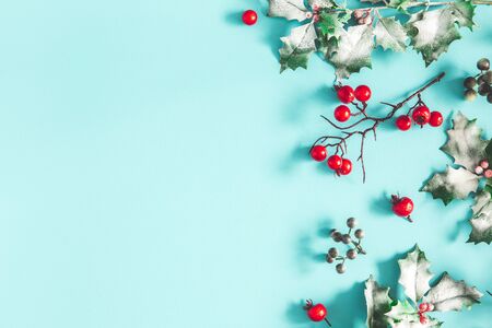 Christmas composition. Frame made of christmas plants on blue background. Flat lay, top view, copy...