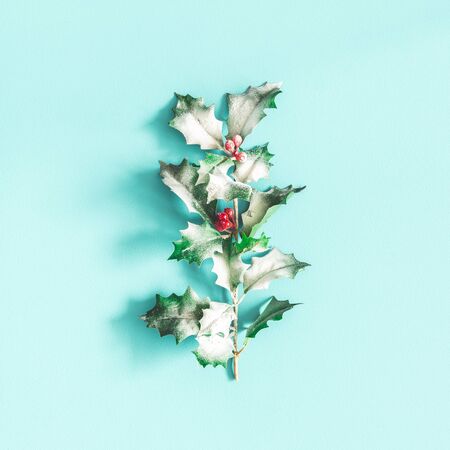 Christmas composition. Pattern made of christmas plants on blue background. Flat lay, top viewの写真素材