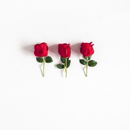 Flowers composition. Rose flowers on white background. Flat lay, top viewの写真素材