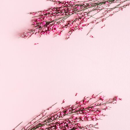 Flowers composition. Pink flowers on pink background. Flat lay, top view, copy spaceの写真素材