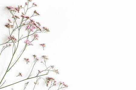 Flowers composition. Pink flowers on white background. Flat lay, top viewの写真素材