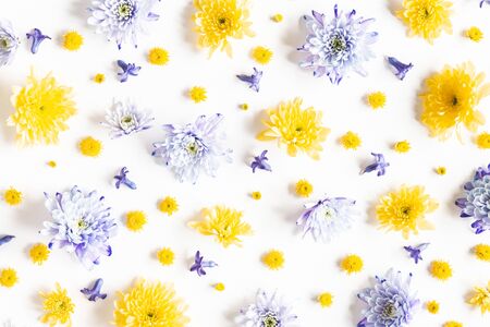 Flowers composition. Pattern made of chrysanthemum flowers on white background. Flat lay, top viewの写真素材