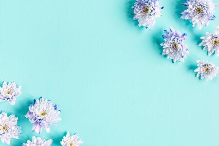 Flowers composition. Frame made of purple chrysanthemum flowers on blue background. Flat lay, top view, copy spaceの写真素材