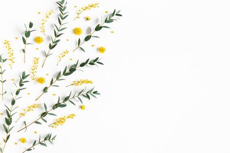 Flowers composition. Yellow flowers, eucalyptus branches on white background. Spring concept. Flat lay, top viewの写真素材