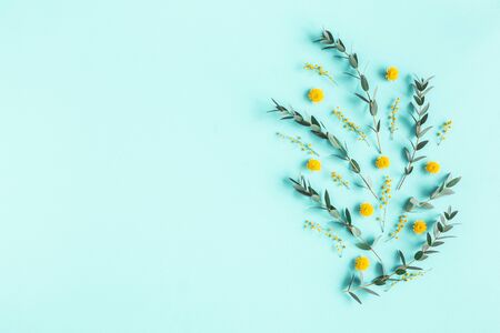 Flowers composition. Yellow flowers, eucalyptus branches on blue background. Spring concept. Flat lay, top viewの写真素材