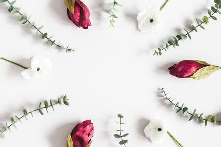Flowers composition. Frame made of red flowers and eucalyptus branches on white background. Flat lay, top viewの写真素材