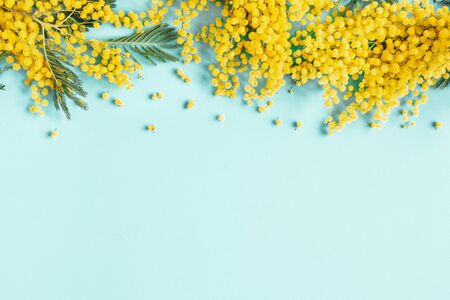 Flowers composition. Mimosa flowers on blue background. Spring concept. Flat lay, top viewの写真素材