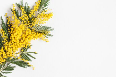 Flowers composition. Mimosa flowers on gray background. Spring concept. Flat lay, top viewの写真素材