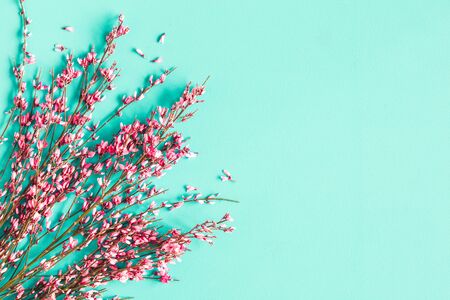 Flowers composition. Pink flowers on blue background. Flat lay, top view, copy spaceの写真素材