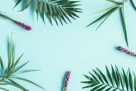 Summer composition. Tropical flowers and leaves on blue background. Summer concept. Flat lay, top view, copy spaceの写真素材