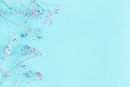 Flowers composition. Gypsophila flowers on blue background. Spring concept. Flat lay, top view, copy spaceの写真素材