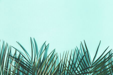Summer composition. Tropical leaves on blue background. Summer concept. Flat lay, top view, copy...