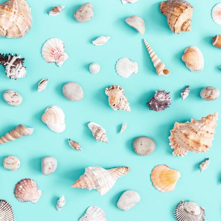 Sea shells pattern on blue background. Summer concept. Flat lay, top viewの写真素材