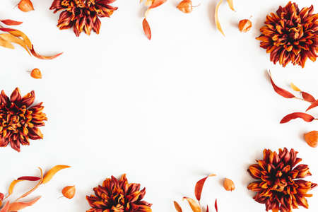 Autumn composition. Dried flowers and leaves on white background. Autumn, fall, thanksgiving day concept. Flat lay, top viewの写真素材