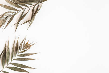 Autumn composition. Dried leaves on white background. Autumn, fall, summer concept. Flat lay, top viewの写真素材