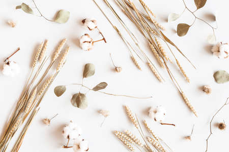 Autumn composition. Dried leaves, flowers on white background. Autumn, fall, thanksgiving day concept. Flat lay, top viewの写真素材