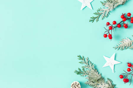 Christmas composition. Christmas plants on blue backround. Flat lay, top view