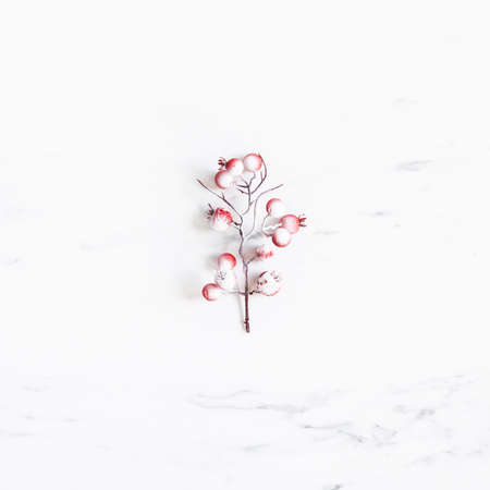 Christmas composition. Red berries on marble background. Christmas, winter, new year concept. Flat lay, top viewの写真素材