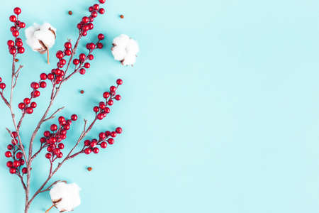 Christmas composition. Red berries, cotton flowers on blue background. Christmas, winter, new year concept. Flat lay, top viewの写真素材
