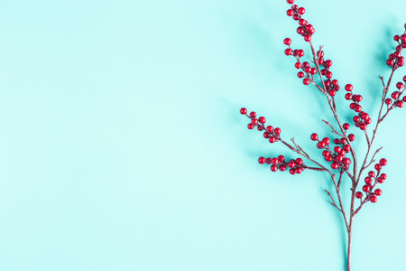 Christmas composition. Red berries on blue background. Christmas, winter, new year concept. Flat...