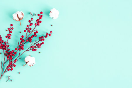 Christmas composition. Red berries, cotton flowers on blue background. Christmas, winter, new year...