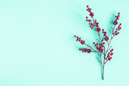 Christmas composition. Red berries on blue background. Christmas, winter, new year concept. Flat lay, top viewの写真素材