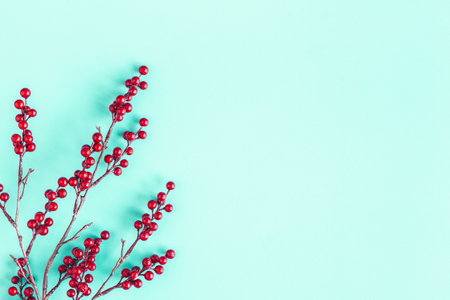 Christmas composition. Red berries on blue background. Christmas, winter, new year concept. Flat lay, top viewの写真素材