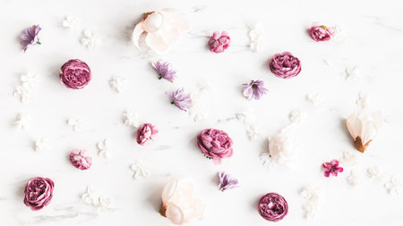 Flowers composition. White and purple flowers on marble background. Flat lay, top viewの写真素材