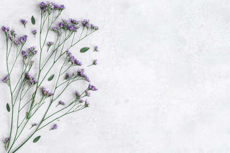 Flowers composition. Purple flowers and eucalyptus leaves on concrete gray background. Flat lay, top viewの写真素材