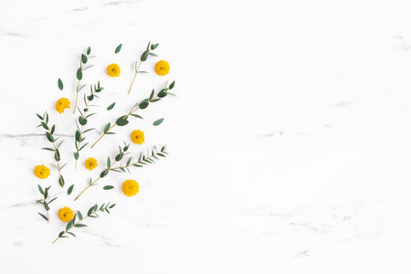 Flowers composition. Yellow flowers and eucalyptus leaves on marble background. Flat lay, top viewの写真素材