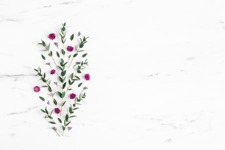Flowers composition. Purple flowers and eucalyptus leaves on marble background. Flat lay, top viewの写真素材