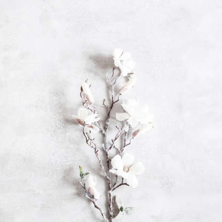 Winter composition. White flowers on gray background. Christmas, winter concept. Flat lay, top viewの写真素材