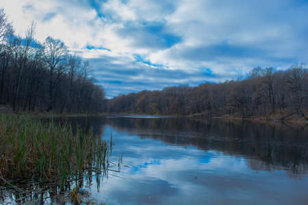 View of the forest and lake autumn