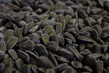 image of sunflower seeds that fill the frameの写真素材