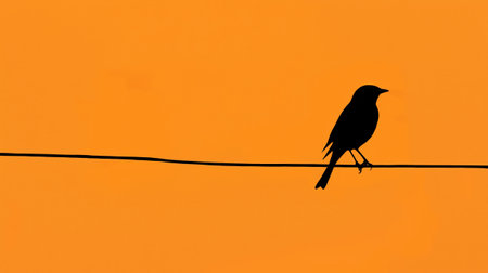 A striking silhouette of a bird perched on a wire, set against a vibrant orange sunset. This image captures the beauty of nature in a simple yet powerful composition.の素材