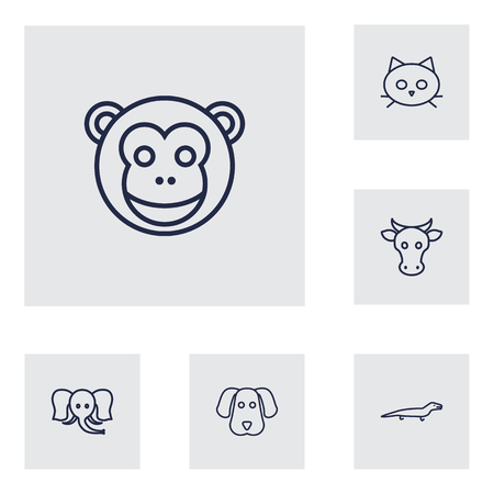 Set Of 6 Alive Outline Icons Set.Collection Of Cat, Monkey, Dog And Other Elements.のイラスト素材