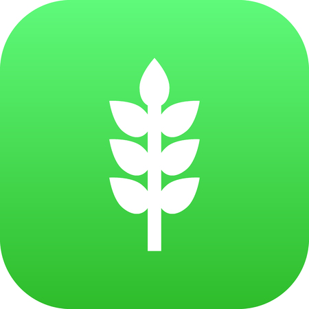 Isolated Wheat Icon Symbol On Clean Background. Vector Grain Element In Trendy Style.のイラスト素材