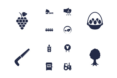 Set Of 12 Agriculture Icons Set.Collection Of Vineyard, Tray Of Eggs, Grain And Other Elements.のイラスト素材