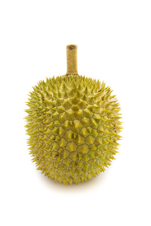 King of fruits. durian isolated on white background. most popular in thailandの写真素材