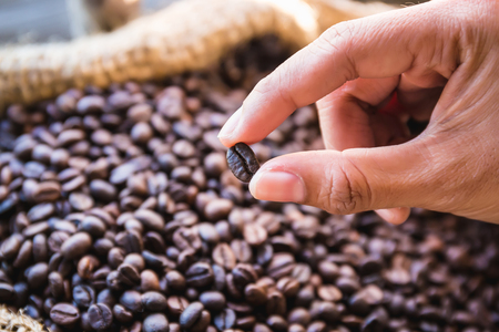 closeup coffee beans in hand with sunlight in gunny bagの写真素材