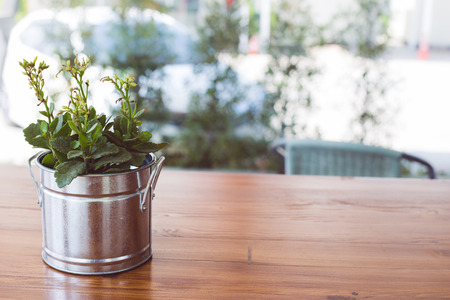 Green tree or plant in silver metal pots on wooden table. Background is copy spaceの写真素材