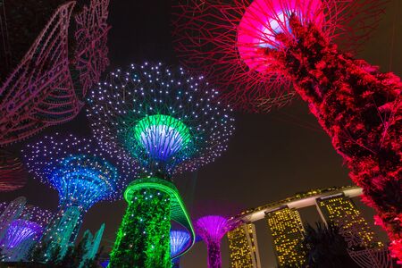 SINGAPORE - NOVEMBER 19, 2016: Supertrees at Gardens by the Bay. The tree-like structures are fitted with environmental technologies that mimic the ecological function of trees light and sound showのeditorial素材