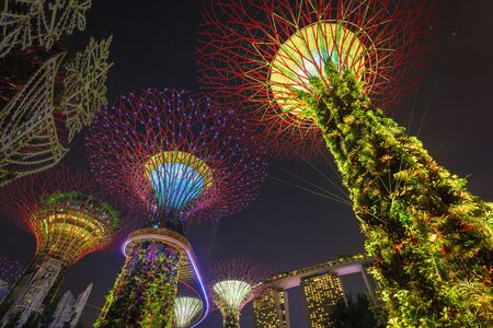 SINGAPORE - NOVEMBER 19, 2016: Supertrees at Gardens by the Bay. The tree-like structures are fitted with environmental technologies that mimic the ecological function of trees light and sound showのeditorial素材