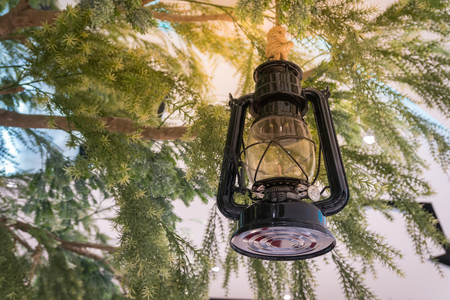 Classic black gas lantern hang on green treeの写真素材