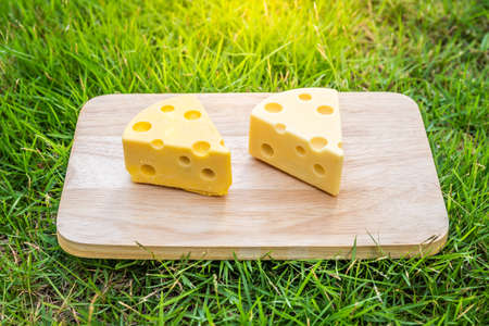 Ice cream shaped cheese cubes placed on a wooden tray on the garden grass.の写真素材