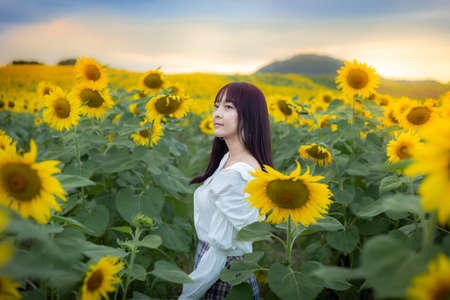 Happy enjoy summer girl in sunflower field in spring. Asian young woman joyful and smiling at sunset timeの写真素材