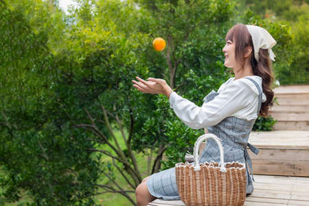 Young woman in a dress sits in an orange grove throwing oranges from a hand with many orange trees and baskets. Farmer concept working in the garden happilyの写真素材