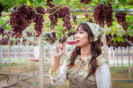 Woman wearing cute dress sitting on a swing drinking grape juice or wine in vineyard smiling happilyの写真素材
