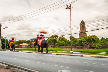 Tourists wear a mask to sit on the back of an elephant to visit Rama Temple in the Ayutthaya Historical Park area. during the covid 19 epidemic live a new normal life near Bangkok, Thailandの写真素材